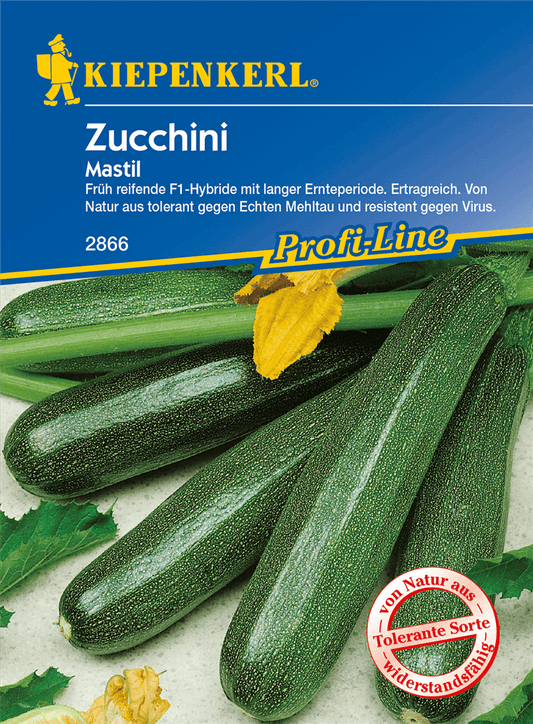 Zucchini 'Mastil' - Kiepenkerl - Pflanzen > Saatgut > Gemüsesamen > Zucchinisamen - DerGartenmarkt.de shop.dergartenmarkt.de